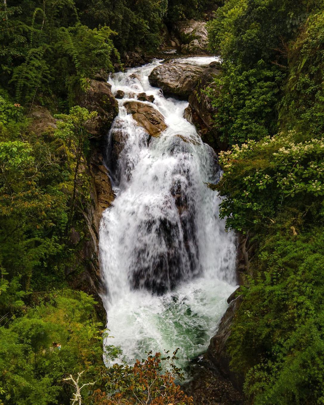 Talamanca Nature Reserve Rivas Exterior foto