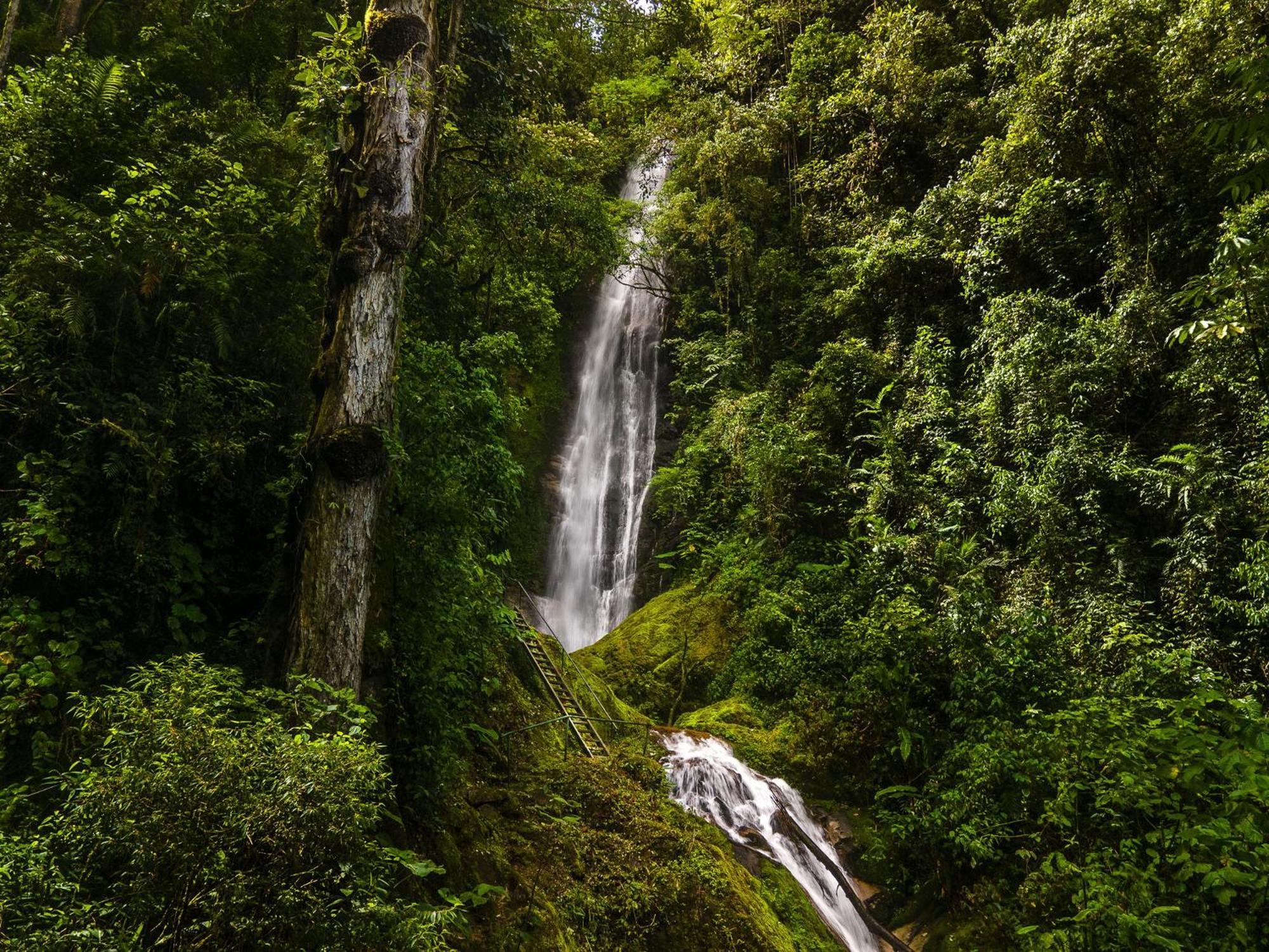 Talamanca Nature Reserve Rivas Exterior foto